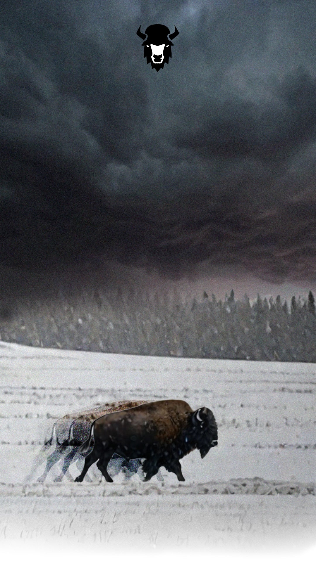 Bravosh, Beyond Ordinary.